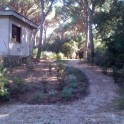 Villa Edoarda in Roccamare