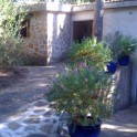 Villa Edoarda in Roccamare