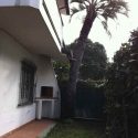 Ferienwohnung Versilia - Chiesina, Aussenansicht