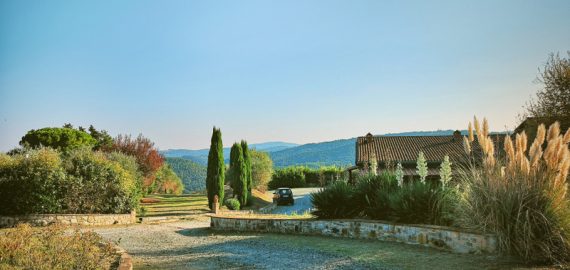 Weingut Santa Cristina, Auffahrt