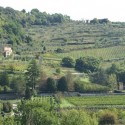 Das Anwesen Il Salicone bei Pistoia