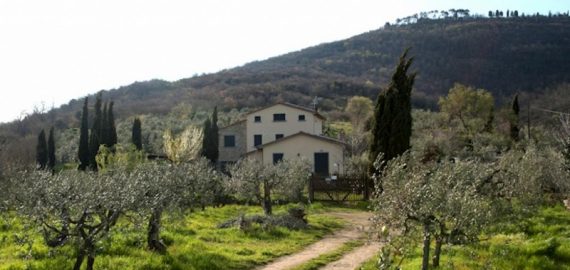 Ferienhaus Cortona, Aussenansicht