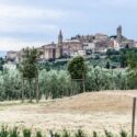 Ferienhaus Castiglion Fiorentino - Ausblick